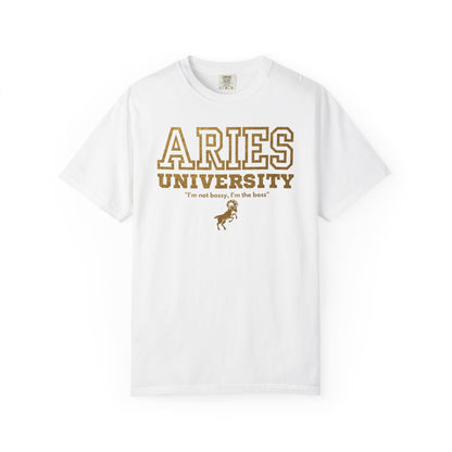 Aries University Zodiac Sign T-shirt