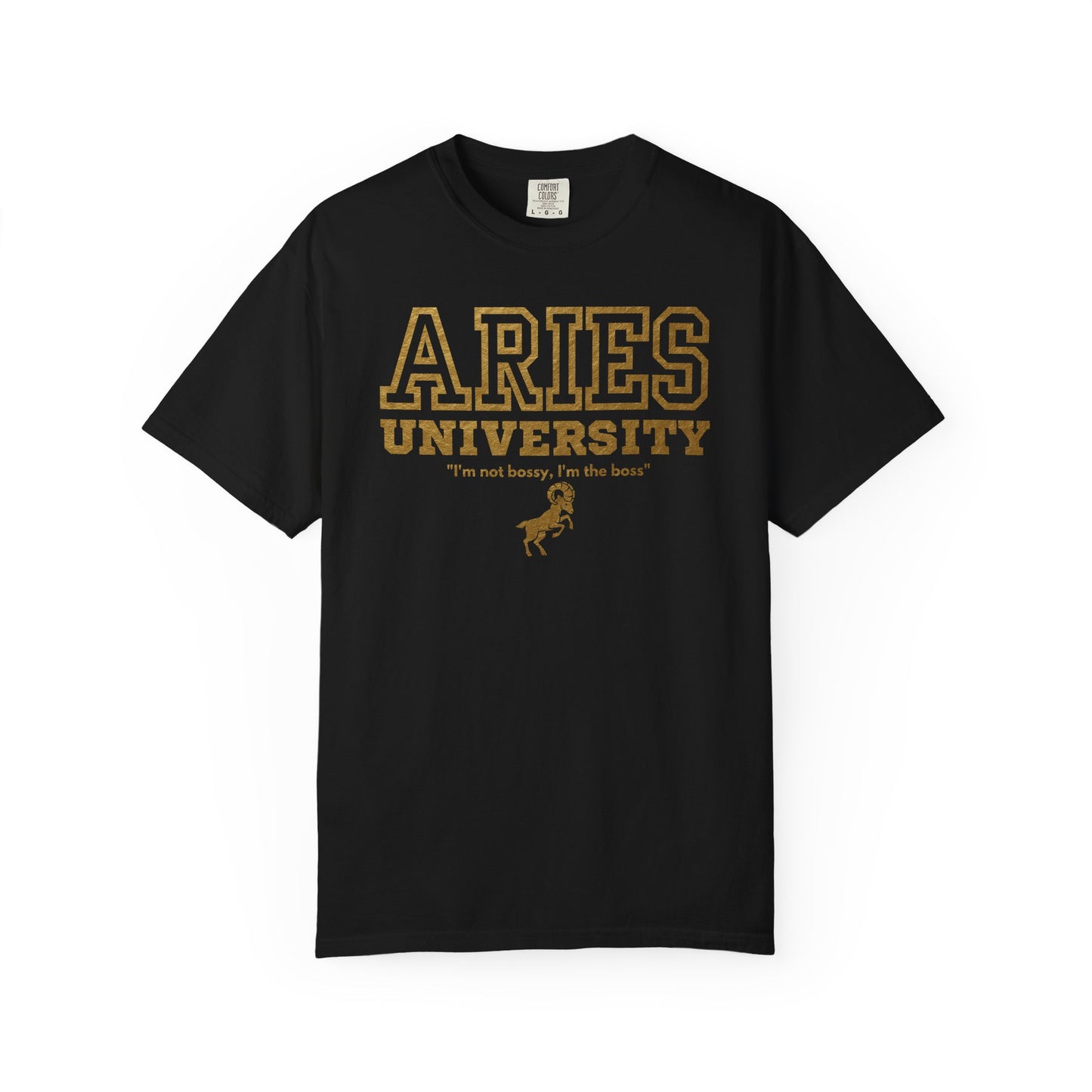 Aries University Zodiac Sign T-shirt