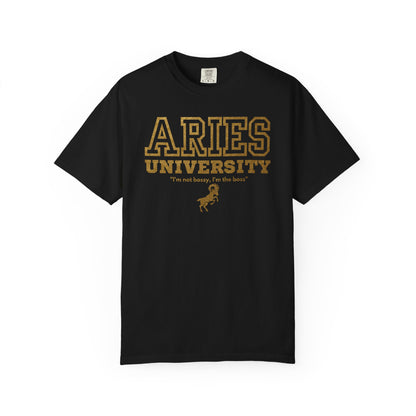 Aries University Zodiac Sign T-shirt