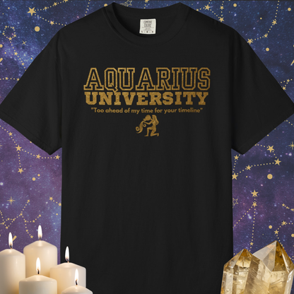 Aquarius University Zodiac Sign T-shirt