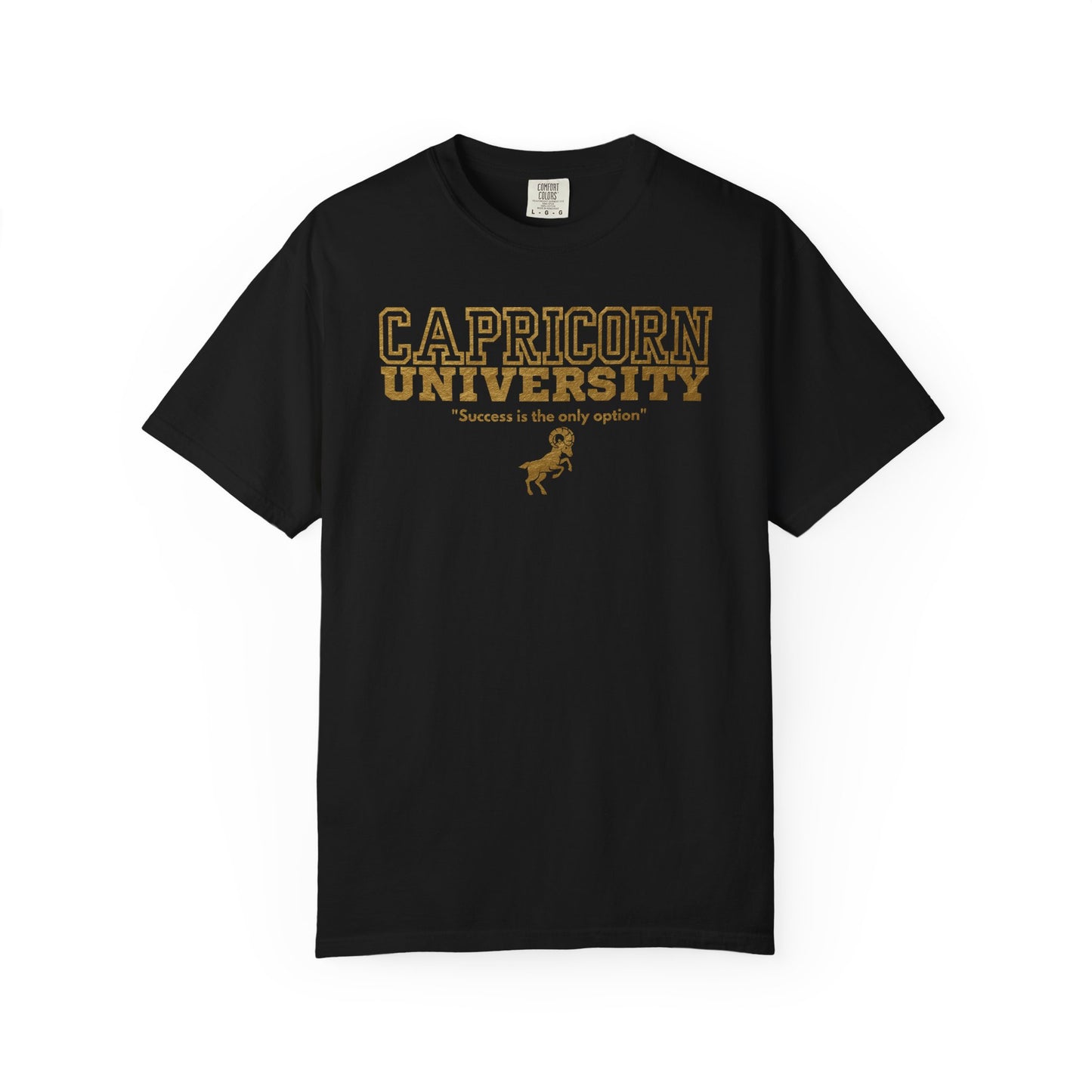 Capricorn University Zodiac Sign T-shirt