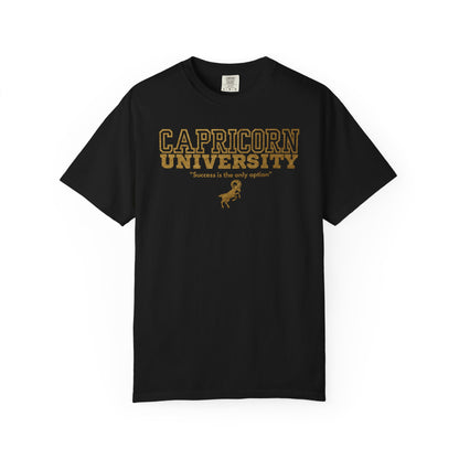 Capricorn University Zodiac Sign T-shirt